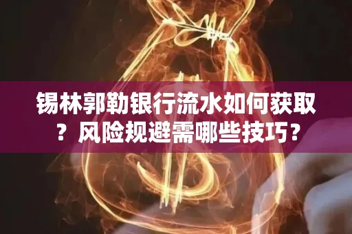 锡林郭勒银行流水如何获取?风险规避需哪些技巧?