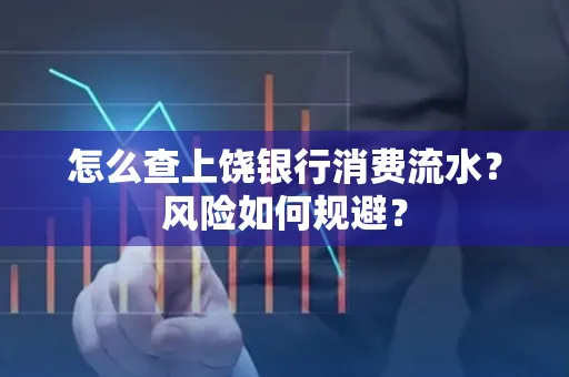 怎么查上饶银行消费流水?风险如何规避?