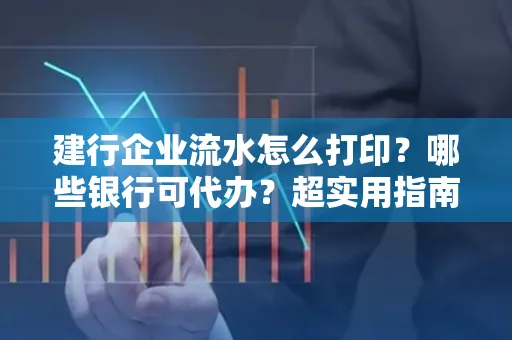 建行企业流水怎么打印?哪些银行可代办?超实用指南来了!