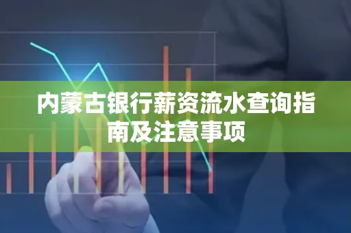 内蒙古银行薪资流水查询指南及注意事项