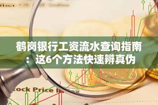 鹤岗银行工资流水查询指南：这6个方法快速辨真伪