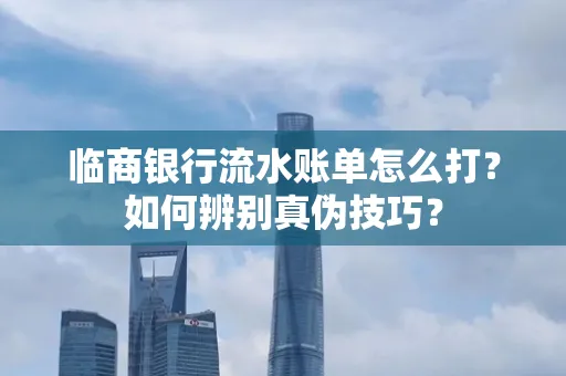临商银行流水账单怎么打?如何辨别真伪技巧? 临商银行流水账单怎么打?如何辨别真伪技巧?