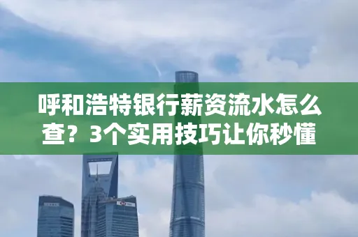 呼和浩特银行薪资流水怎么查?3个实用技巧让你秒懂