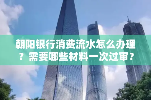 朝阳银行消费流水怎么办理?需要哪些材料一次过审?