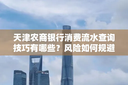 天津农商银行消费流水查询技巧有哪些?风险如何规避?