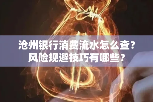 沧州银行消费流水怎么查?风险规避技巧有哪些?