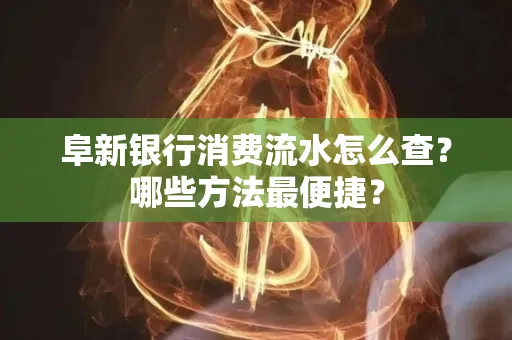 阜新银行消费流水怎么查?哪些方法最便捷?