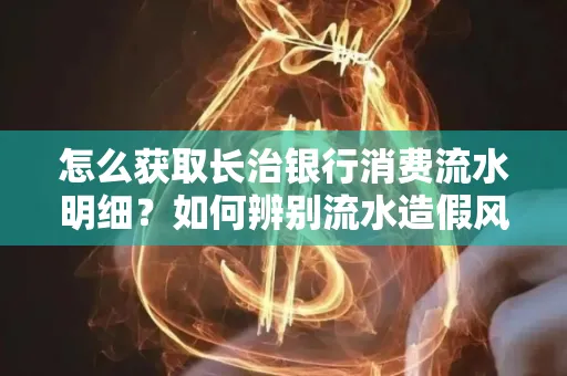 怎么获取长治银行消费流水明细?如何辨别流水造假风险?