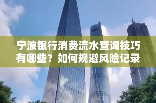 宁波银行消费流水查询技巧有哪些?如何规避风险记录?
