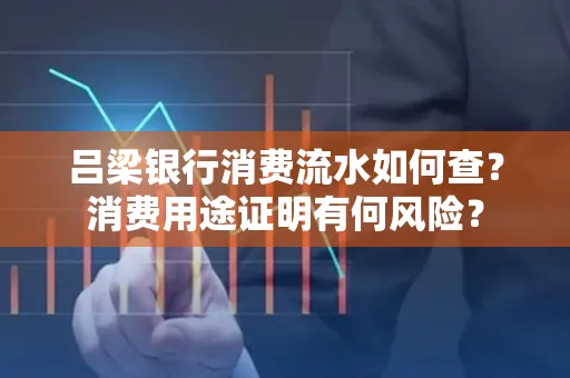 吕梁银行消费流水如何查?消费用途证明有何风险?