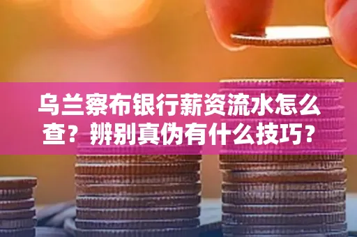 乌兰察布银行薪资流水怎么查?辨别真伪有什么技巧?