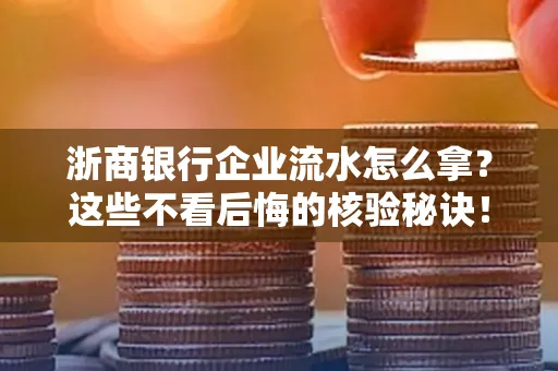 浙商银行企业流水怎么拿?这些不看后悔的核验秘诀!