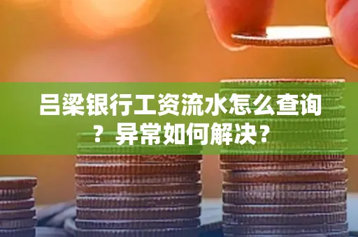 吕梁银行工资流水怎么查询?异常如何解决?