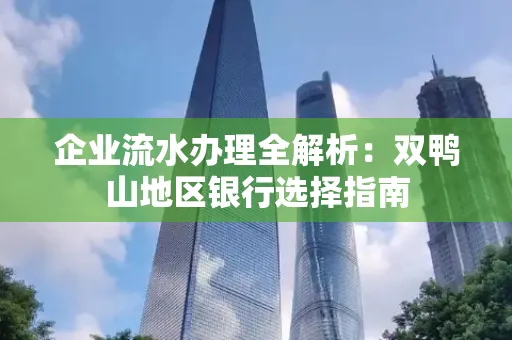 企业流水办理全解析:双鸭山地区银行选择指南