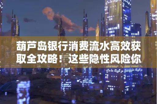 葫芦岛银行消费流水高效获取全攻略!这些隐性风险你必须知道