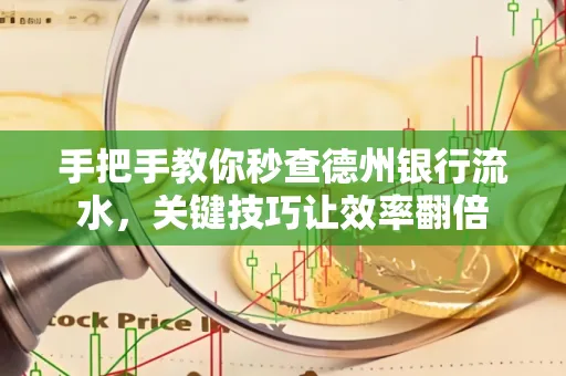 手把手教你秒查德州银行流水,关键技巧让效率翻倍