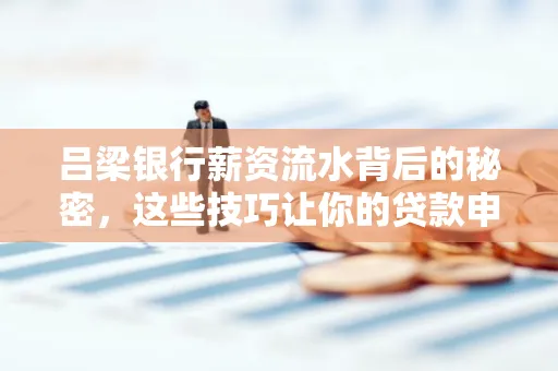 吕梁银行薪资流水背后的秘密,这些技巧让你的贷款申请快人一步