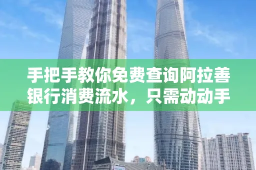 手把手教你免费查询阿拉善银行消费流水,只需动动手指就能完成
