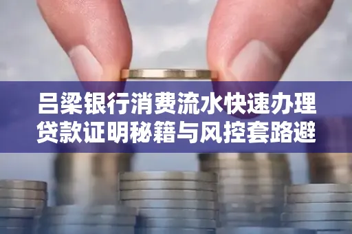 吕梁银行消费流水快速办理贷款证明秘籍与风控套路避坑指南
