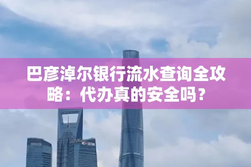 巴彦淖尔银行流水查询全攻略：代办真的安全吗？