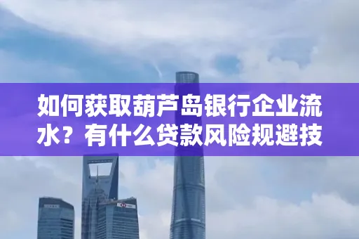 如何获取葫芦岛银行企业流水？有什么贷款风险规避技巧？
