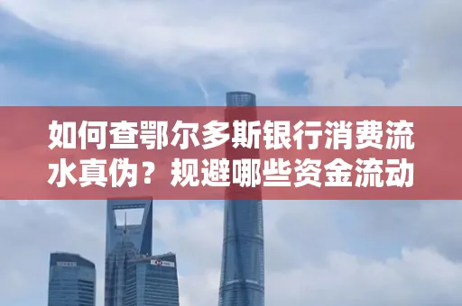 如何查鄂尔多斯银行消费流水真伪？规避哪些资金流动风险？防范要点解析
