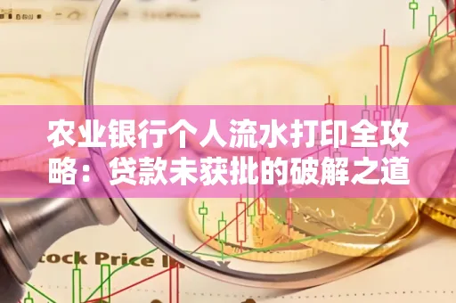 农业银行个人流水打印全攻略：贷款未获批的破解之道