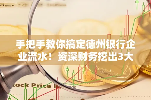 手把手教你搞定德州银行企业流水!资深财务挖出3大隐藏风险点