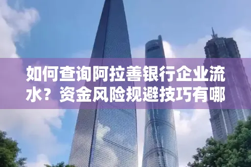 如何查询阿拉善银行企业流水?资金风险规避技巧有哪些?