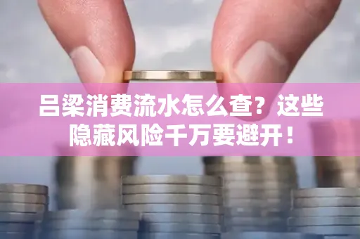 吕梁消费流水怎么查?这些隐藏风险千万要避开!
