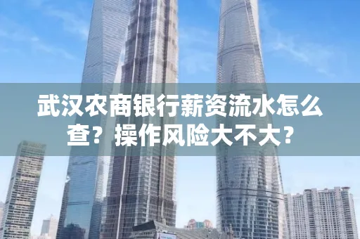 武汉农商银行薪资流水怎么查?操作风险大不大?