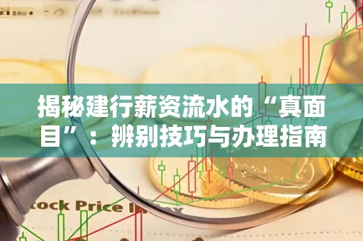 揭秘建行薪资流水的“真面目”:辨别技巧与办理指南大公开