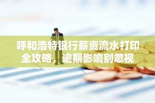 呼和浩特银行薪资流水打印全攻略,逾期影响别忽视