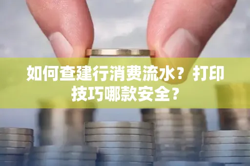 如何查建行消费流水?打印技巧哪款安全?
